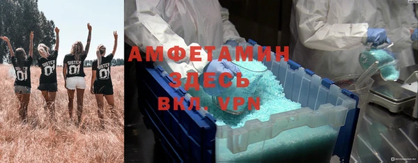 индика Покров