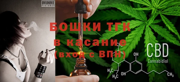 индика Покров
