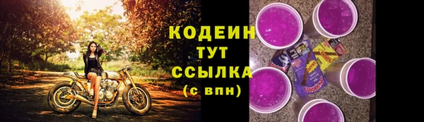 индика Покров