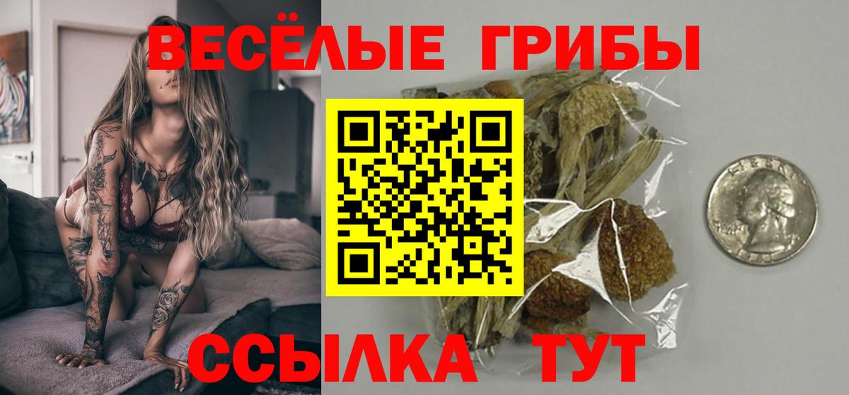 Псилоцибиновые грибы ЛСД Тавда